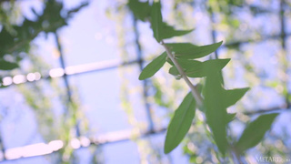 Danica Jewels в страстном порно видео HD