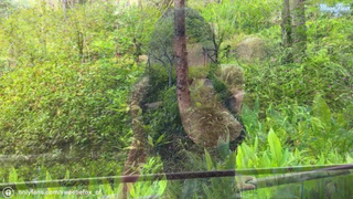 Смотреть онлайн – горячее видео с Сиси и жесткий секс