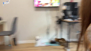 Секс видео с пьяной девушкой онлайн