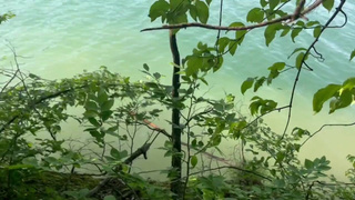 Дикий лесной секс двух подруг — смотреть онлайн