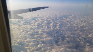 Секс в самолете с Беллой Мур