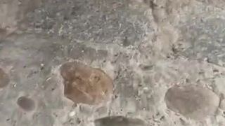 Жесткое порно на публике с мочалкой